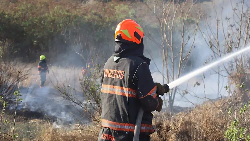 incendio colomos 